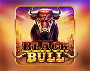 Black Bull